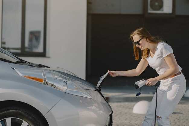 Audi Owners Preferences: Home Charging vs Public Charging